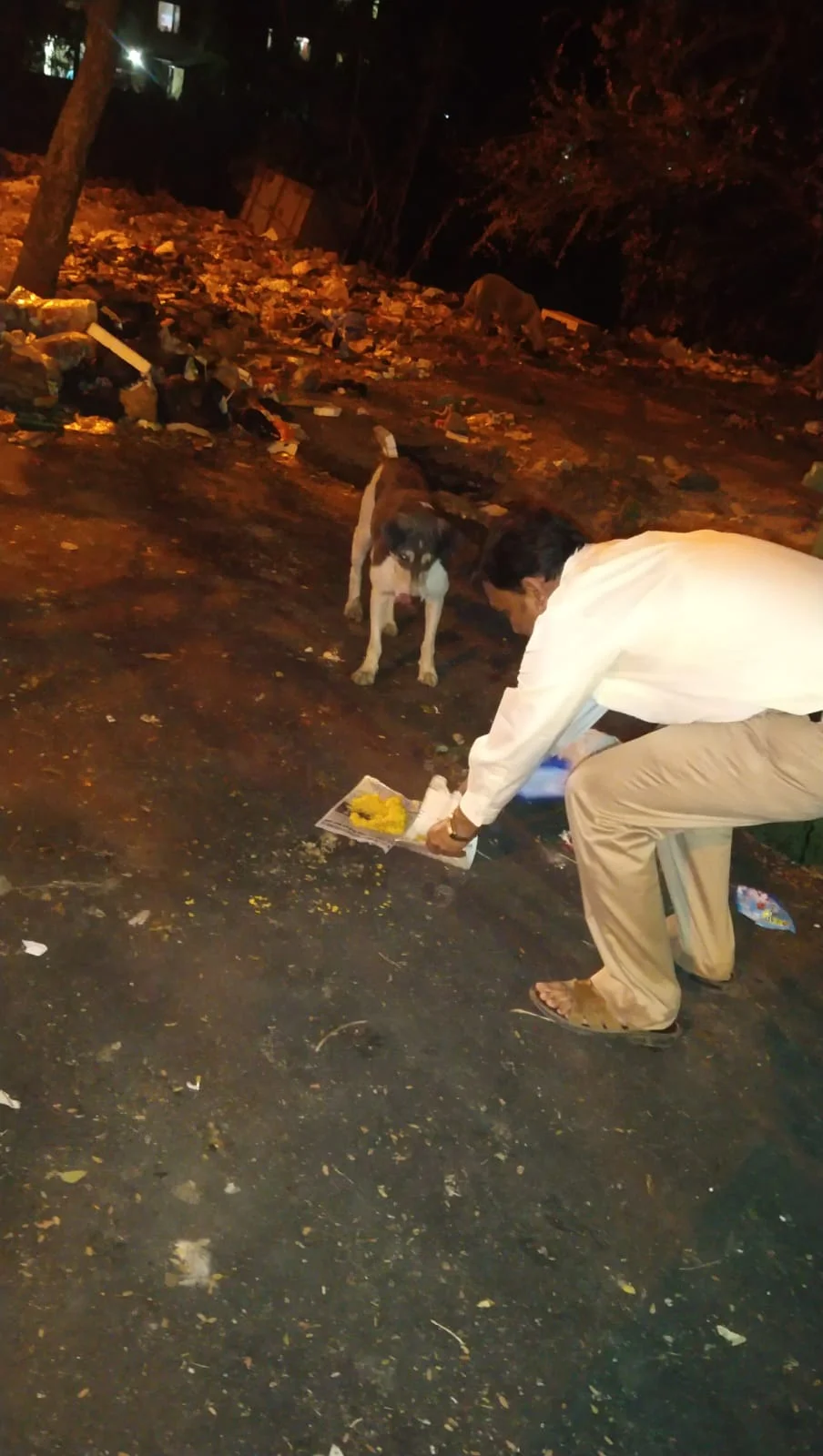 C.H.H.F's "Voice of Voiceless" Initiative: Nourishing Lives, Empowering Strays